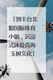 到丰台北粮国际体育小镇，沉浸式体验青海玉树文化